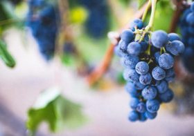 Jesus in the Old Testament – Resurrection and Return
