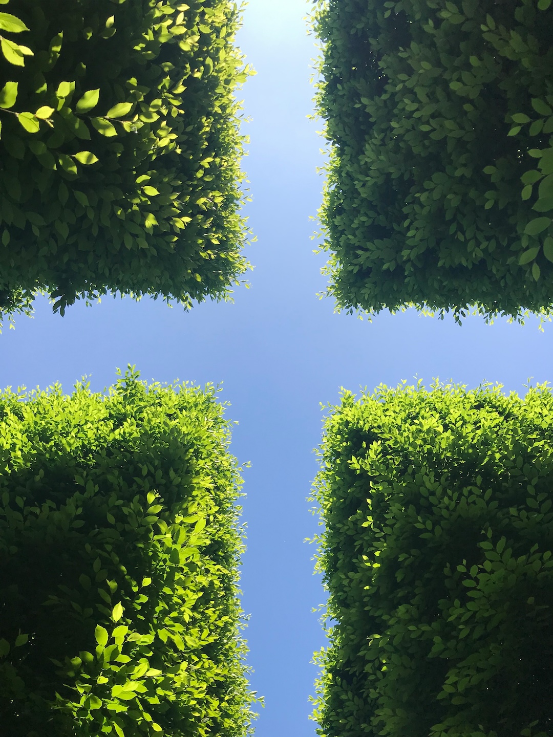 Hedge of Protection